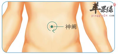 苹果绿 中医养生神阙穴是调整脏腑,平衡阴阳的关键穴位,经常按摩能够