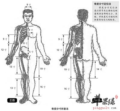 骨度分寸定位法