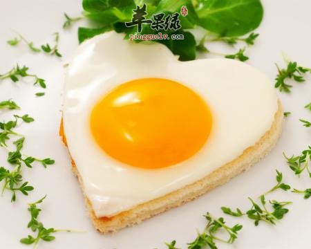 早餐吃鸡蛋能帮助减肥吗_苹果绿
