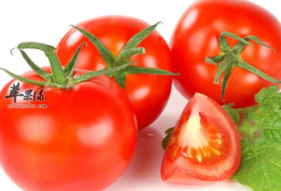 西红柿的营养价值及功效