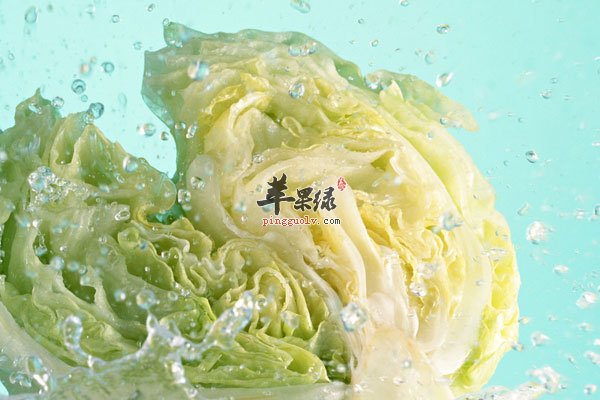大白菜虽廉价 但减肥功效好