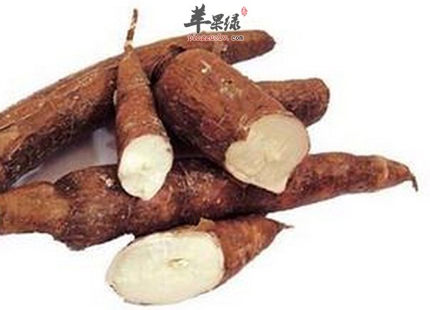 木薯的功效与作用及食用方法(二)