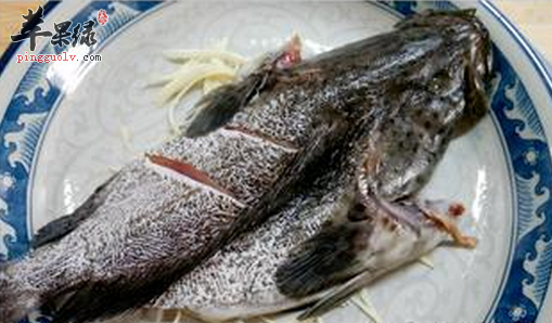 石斑鱼的营养价值_功效与作用及食用方法_食