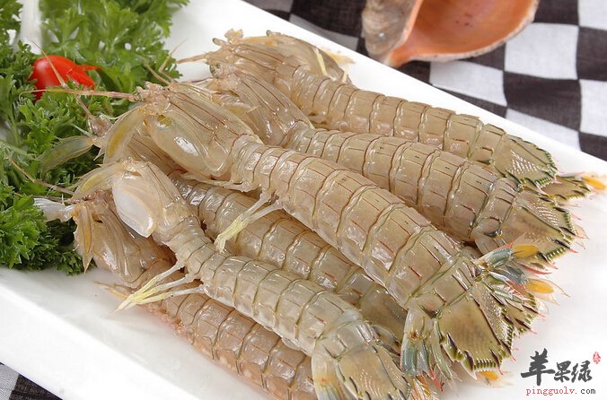 苹果绿 食材大全 营养价值  皮皮虾是一种非常珍贵的海产品,其肉质