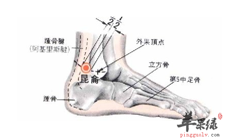 昆仑穴位位置图