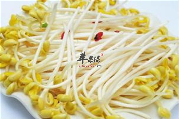 常吃黄豆芽身体健 黄豆芽泡发很简单