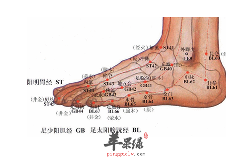 足临泣穴位位置图