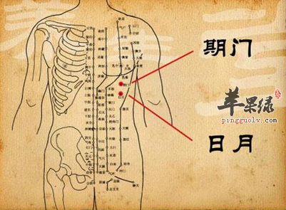 日月穴位位置图