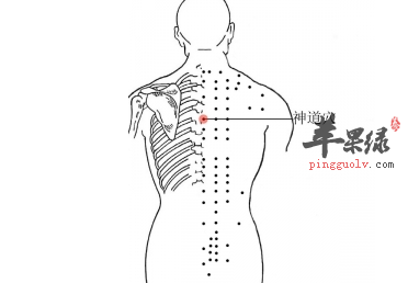 神道穴位位置及图片_神道穴的功效与作用_按摩手法