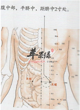 天枢穴位位置图(二)