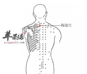 陶道穴位位置图