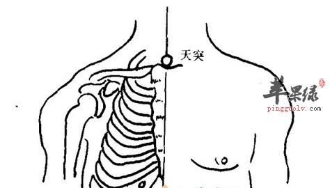 天突穴位位置图