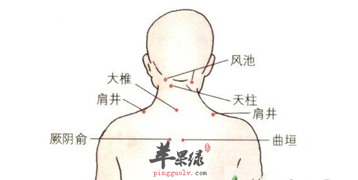 天柱穴位位置及图片_天柱穴的功效与作用_按摩手法