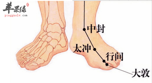 行间穴位位置图