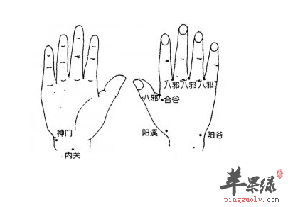 八邪穴位位置图