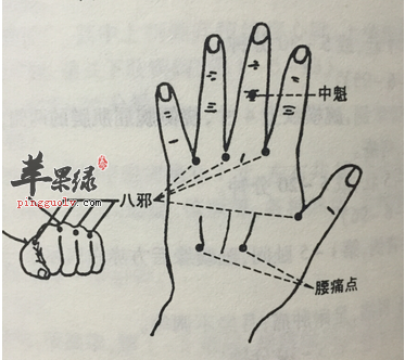 八邪穴位位置图