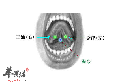 金津穴位位置图