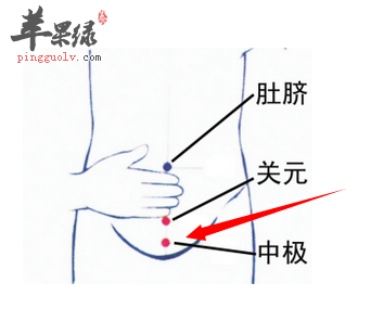 产后恶露不止,胞衣不下,阴挺等症(肾 气虚型 中极穴配阴谷,气海