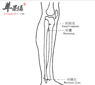 胆囊穴位位置图