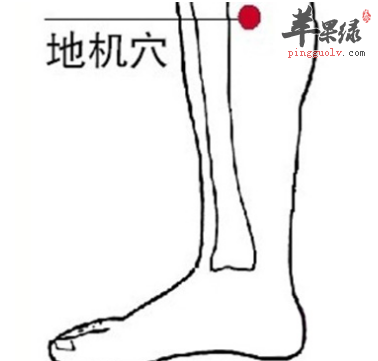 地机穴位位置图