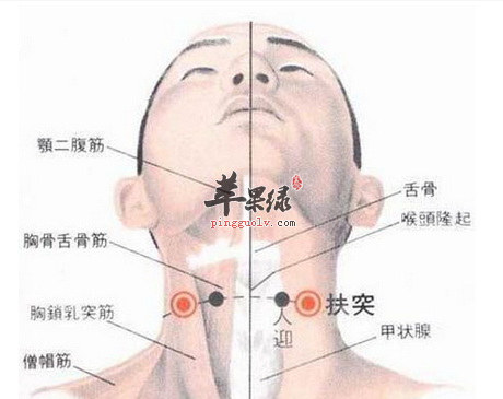 扶突穴位位置图