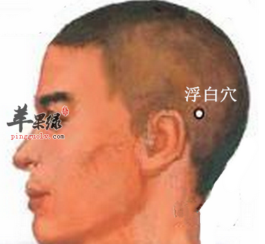 浮白穴位位置图