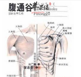 腹通谷穴位位置图