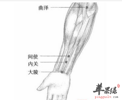 间使穴位位置图