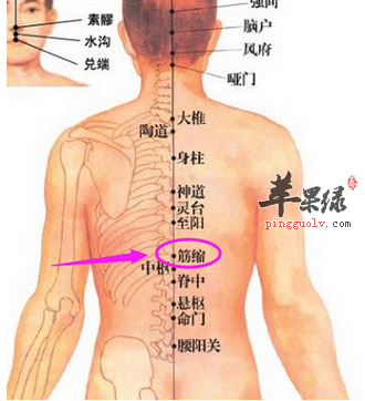 筋缩穴:筋泛指筋肉,缩有抽搐之意.穴当肝俞中央,考肝属