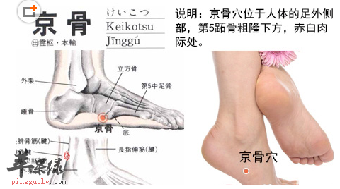 京骨穴位位置图