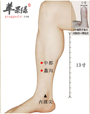 蠡沟穴位位置图