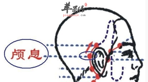 颅息穴位位置图