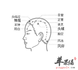 目窗穴位位置图