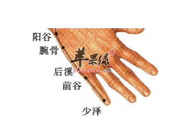前谷穴位位置图