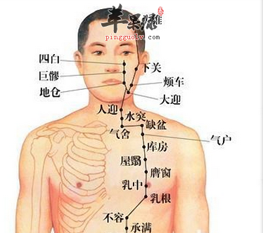 苹果绿 中医养生缺盆穴位位置图 缺盆穴位于人体的锁骨上窝中央,距前