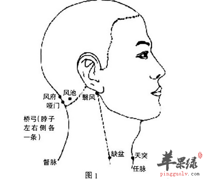 缺盆穴位位置图