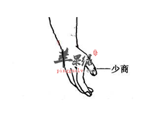 少商穴穴位位置图_少商穴的功效与作用_按摩手法