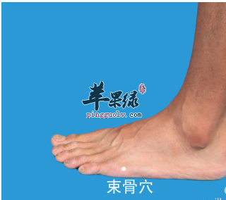 束骨穴位位置图