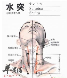 水突穴位位置图