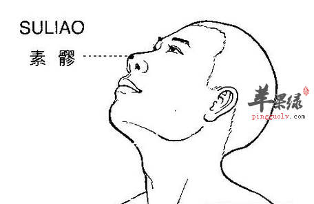 素髎穴位位置图