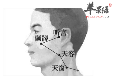 天窗穴位位置图