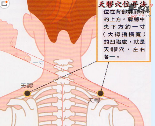 苹果绿 中医养生  1,主穴:极泉,肩髃,肩贞,臂臑,少海,阿是穴 2,配穴