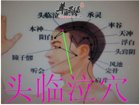 头临泣穴位位置图