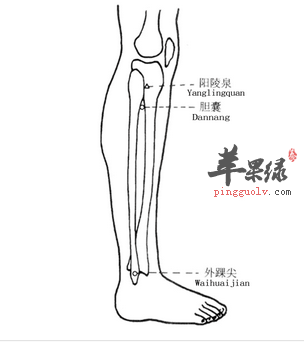 1,外踝尖穴配内踝尖穴:缓解治疗白虎历牙风痛; 2,外踝尖穴配