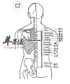 胃仓穴位位置图