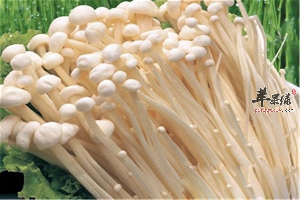 蘑菇种类多推荐金针菇,草菇,香菇