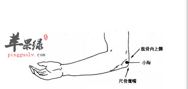 小海穴位位置图