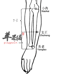 小海穴位位置图