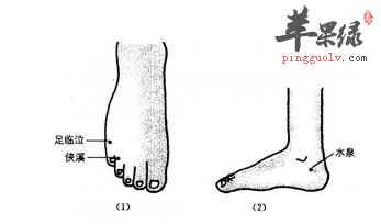 侠溪穴穴位位置图_侠溪穴的功效与作用_疗法及注意事项