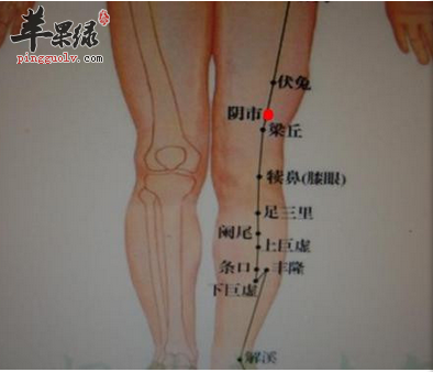 阴市穴穴位位置图